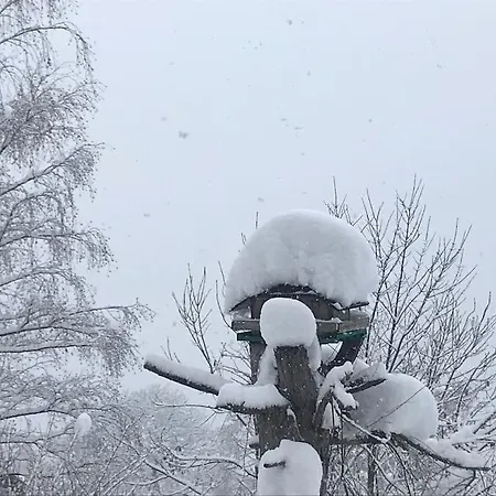 Gemuetliches Bergappartement Mit Seeblick Semesterbostad