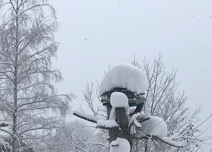 Gemuetliches Bergappartement Mit Seeblick Hébergement de vacances
